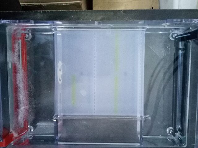 34 specimens electrophoresis